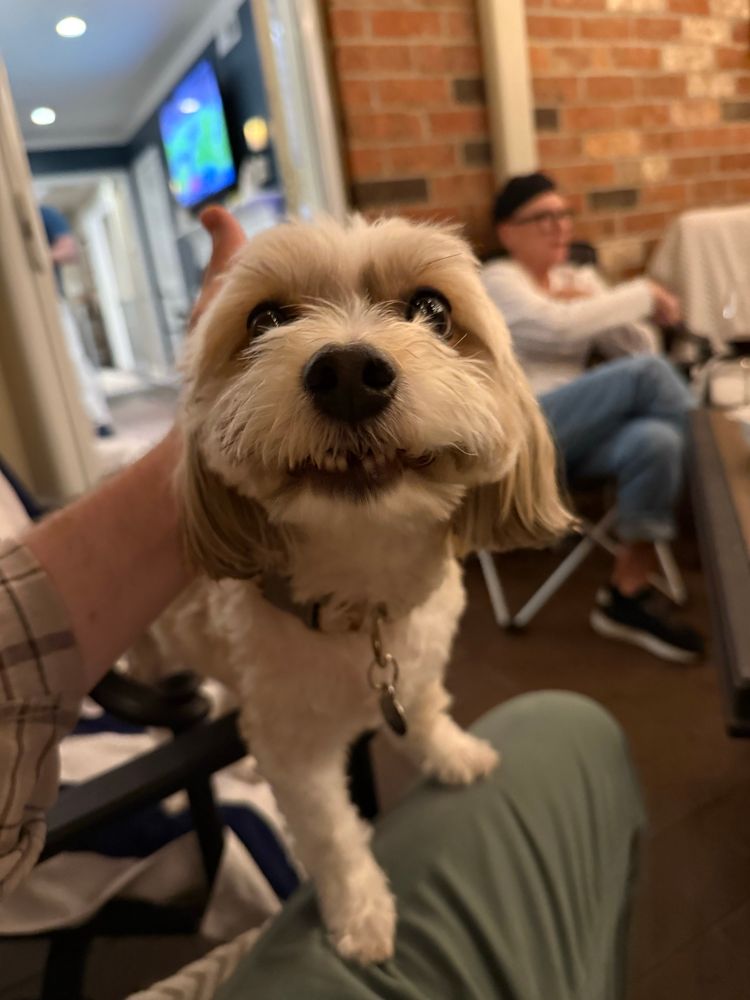 It’s Simon the very happy dog