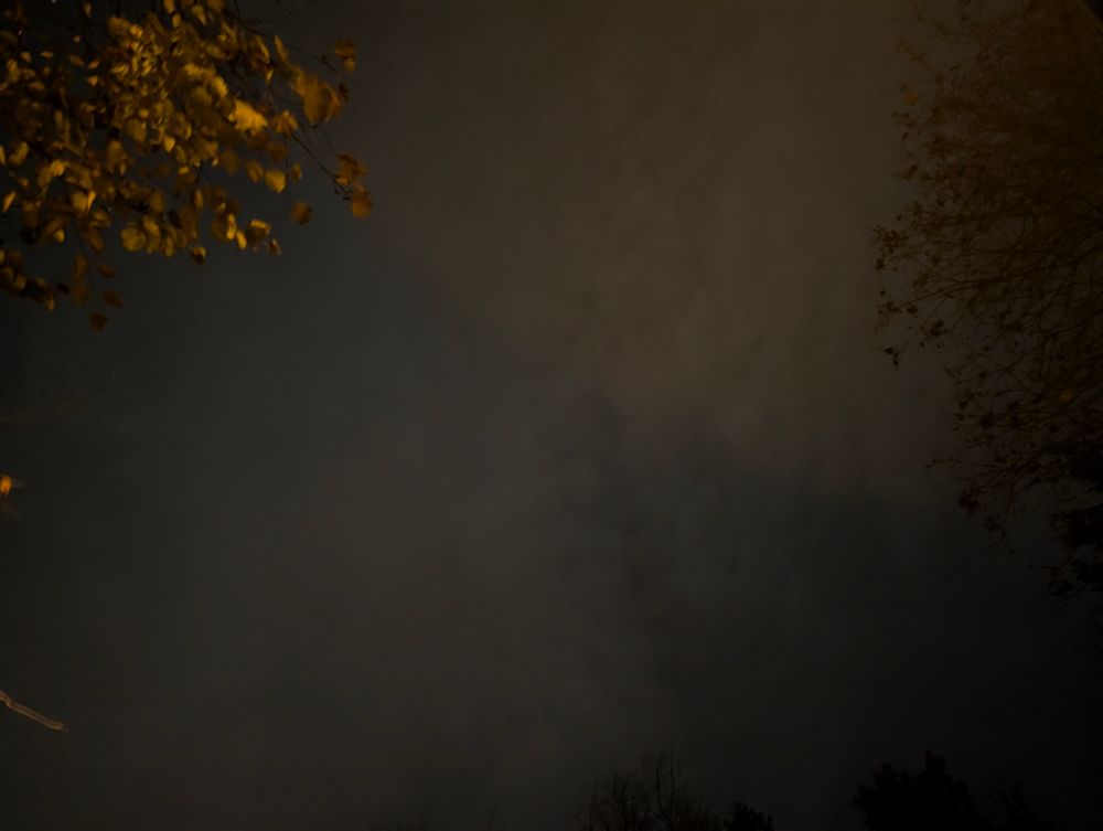 The sky, but it's mostly clouds and too much light pollution to see anything even if it was clear