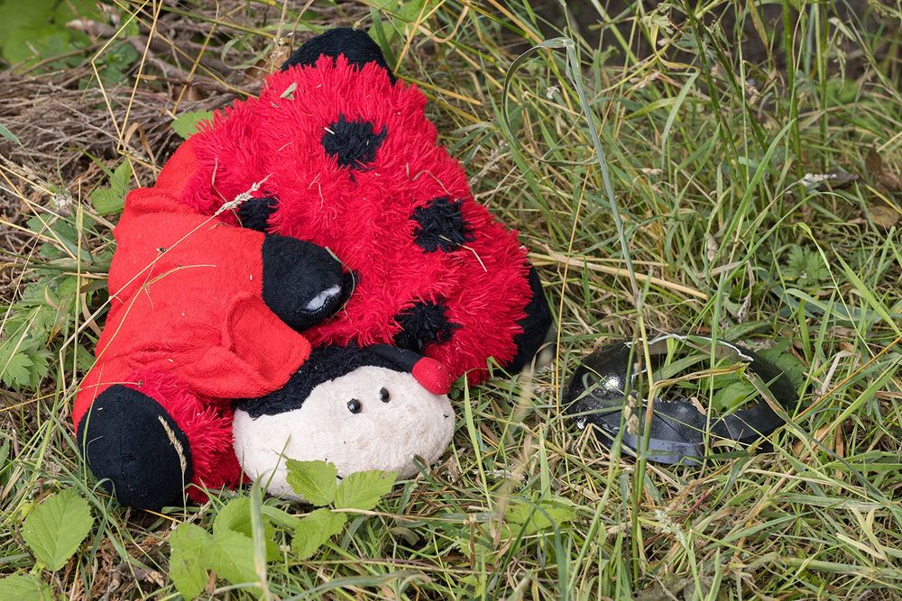 Een lieveheersbeestje knuffel, voor oud vuil in het gras.