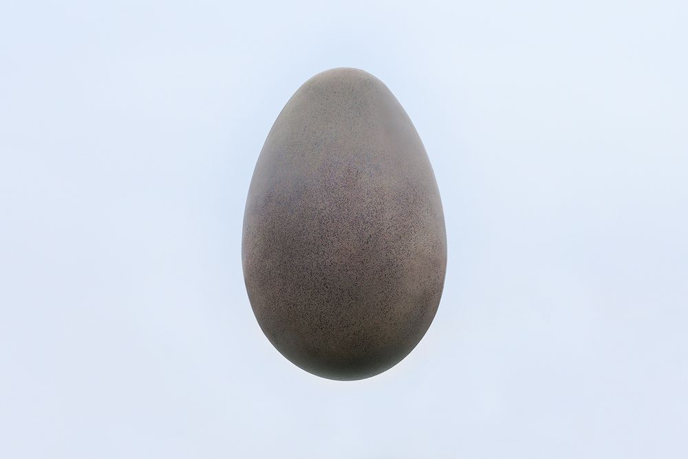 Het ei, losgesneden van het hok, tegen een neutrale achtergrond.