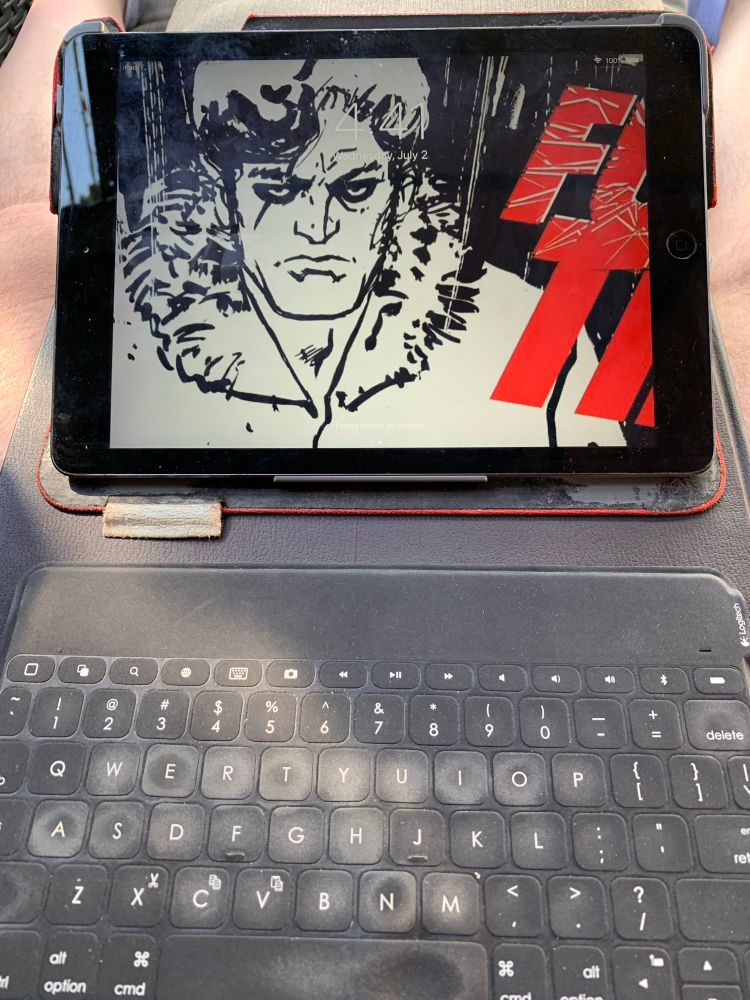 Photo of my IPad FULL TILT home screen and my Bluetooth keyboard dappled with sunlight. 