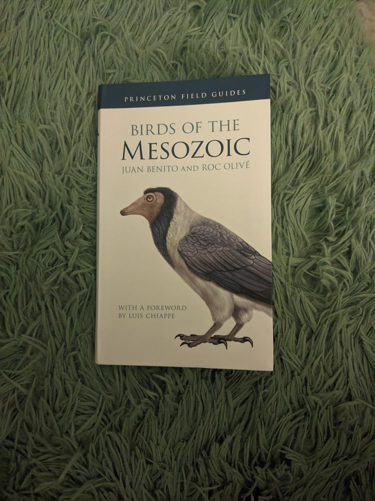 A book lying on a fluffy green blanket. The book is Birds of the Mesozoic by Juan Benito and Roc Olivé.