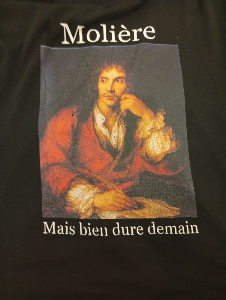 Mon t-shirt du jour, avec Molière méditatif dessus, à réfléchir quoi écrire de sa plume.
Légende du t-shirt : Molière, mais bien dure demain.
Je suis allé au taf en portant ce t shirt, ainsi que chez mon kiné dans la foulée, n'ayant pas eu le temps de rentrer chez moi entre-deux.
Il y a tout de même des personnes qui ont mis du temps à comprendre le calembours foireux inscrit-dessus.
#Tshirtdujour