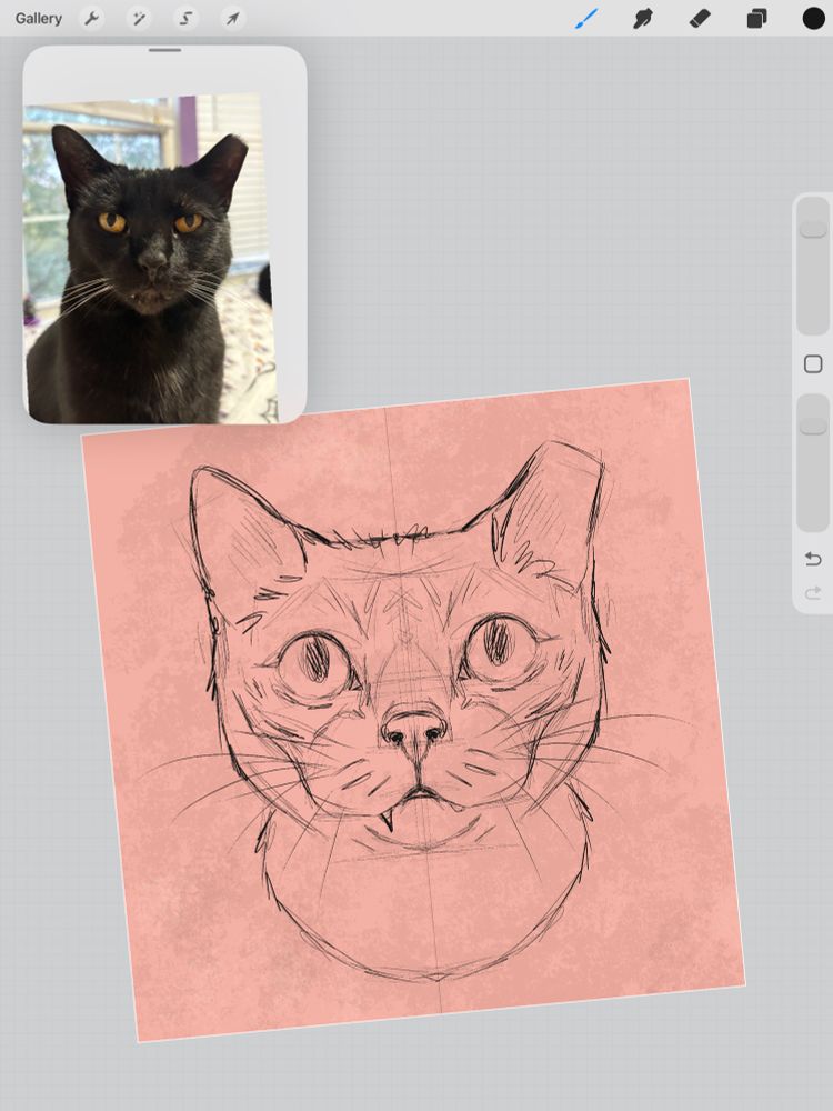 Sketch of a black cat with cropped ear and snaggle tooth. 
