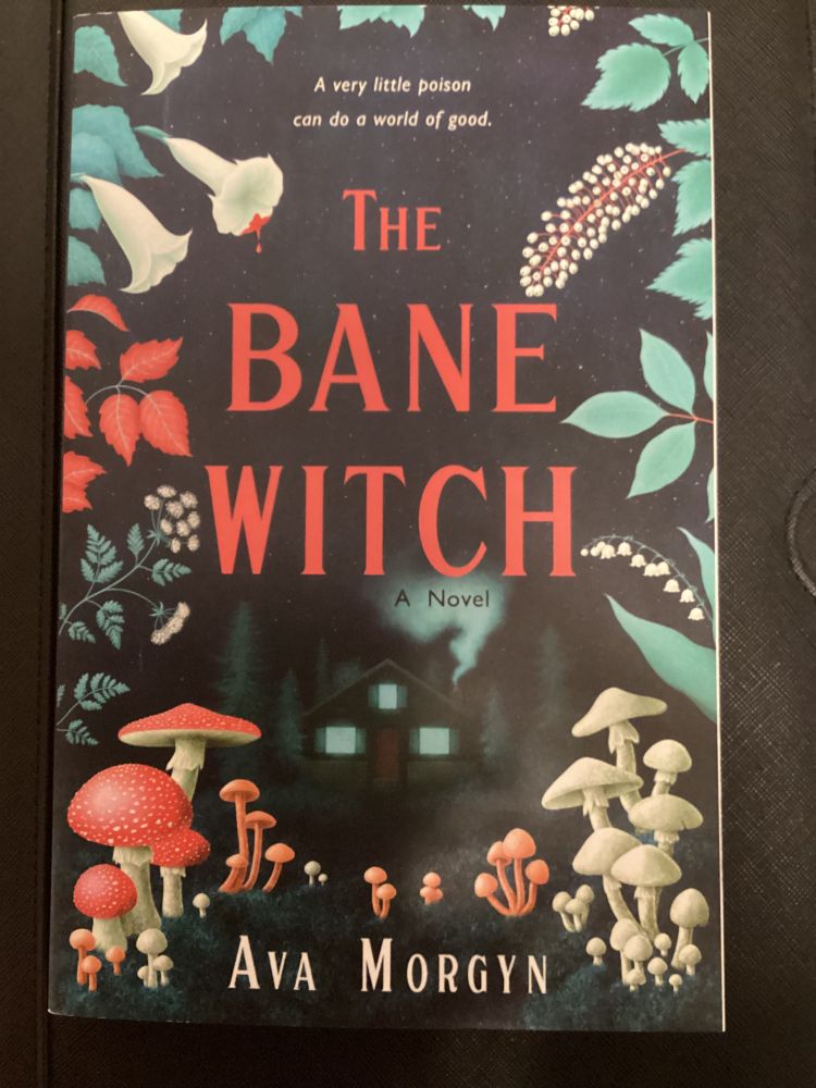 The cover of The Bane Witch by Ava Morgyn. In the background stands a mysterious cottage with glowing windows. The cottage is framed in the foreground by various poisonous plants and mushrooms.