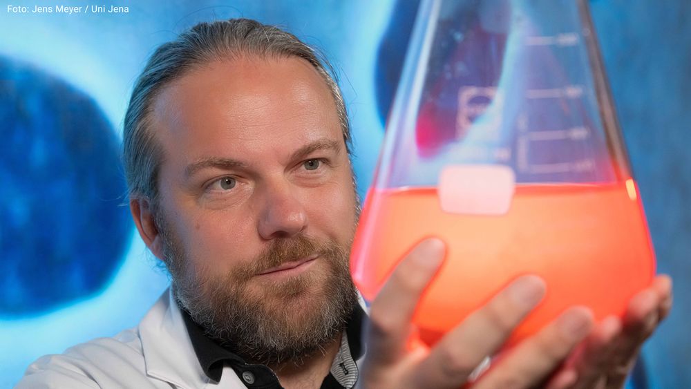 Der Mikrobiologe Prof. Dr. Christian Jogler wird von der VolkswagenStiftung für ein Pioniervorhaben gefördert. Foto: Jens Meyer / Uni Jena