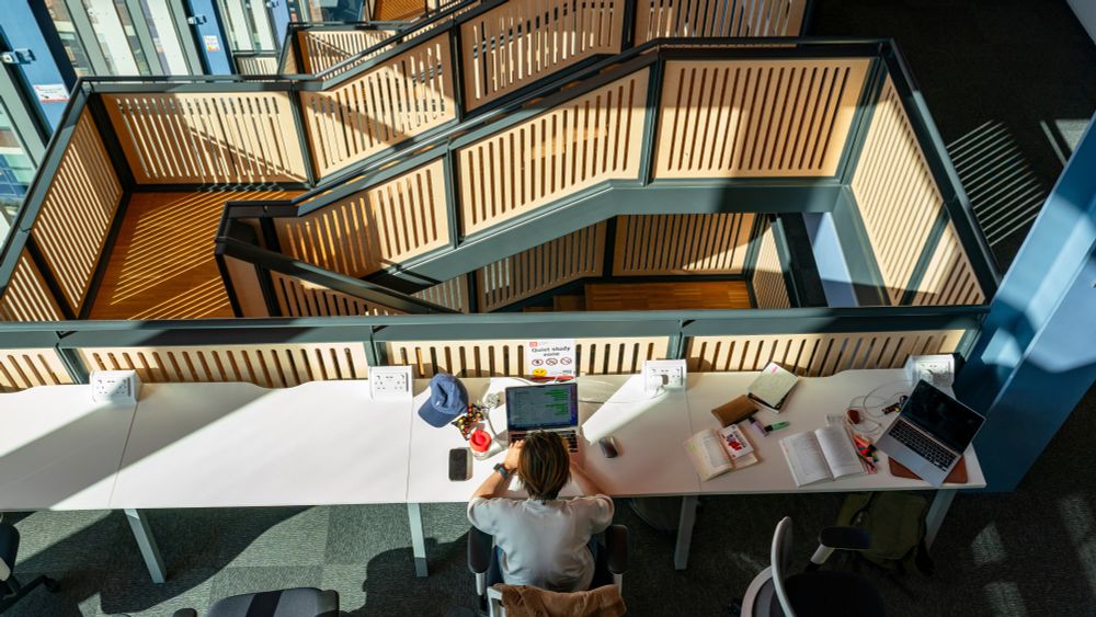 Student studying at LSE