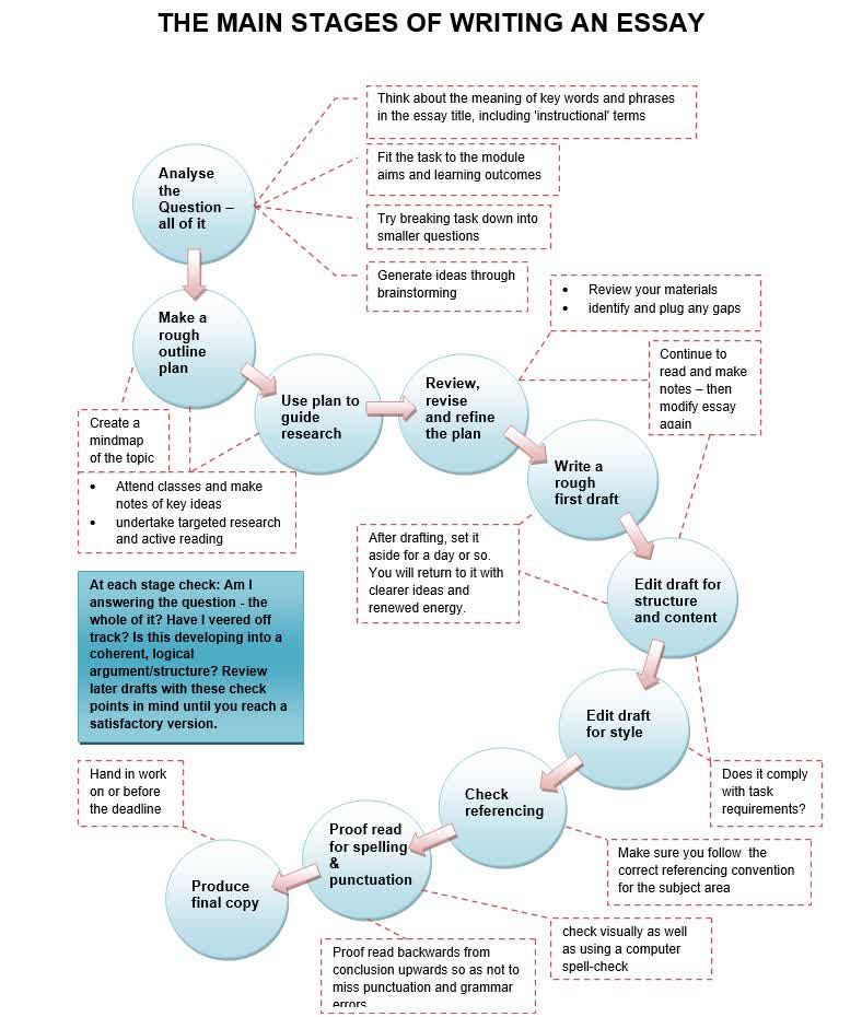 diagram showing the stages of writing an essay. 