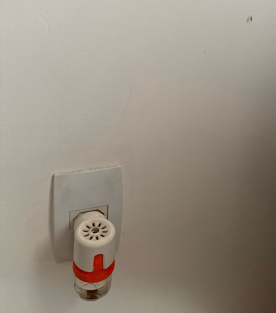 Um aparelho repelente de insetos, ligado na tomada, com um pernilongo sentado ao lado.