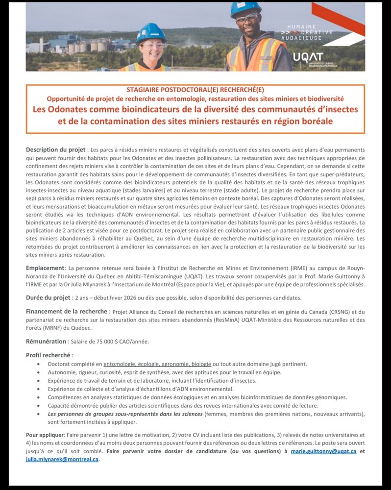 Document PDF décrivant le projet