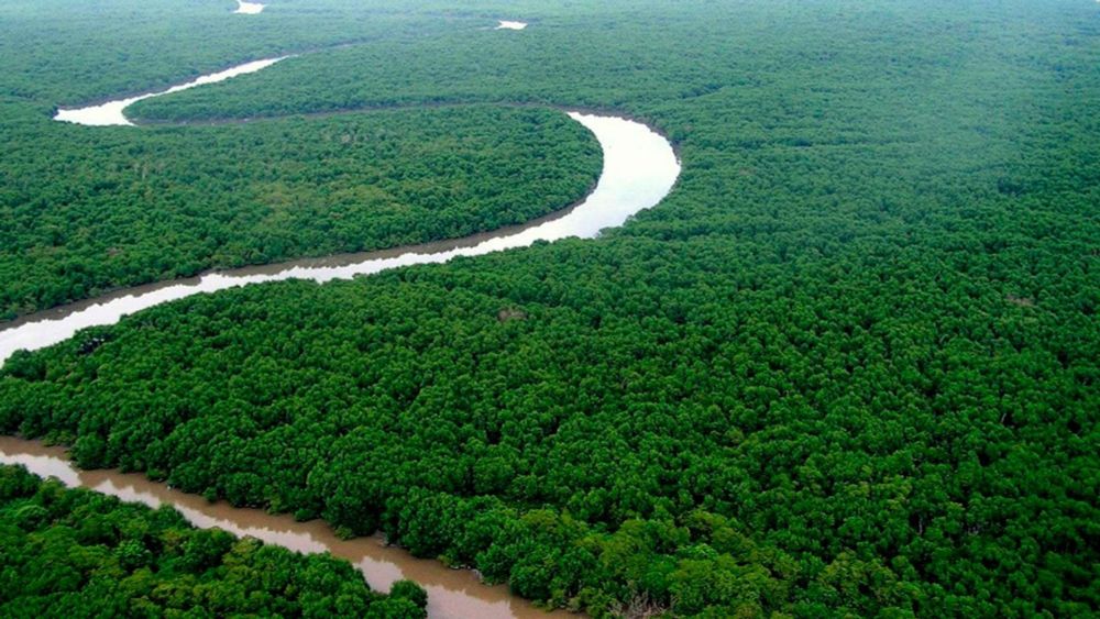 Produtores rurais da Amazônia lançam movimento contra narrativas ambientalistas e políticas governamentais, exigindo diálogo e participação na COP30