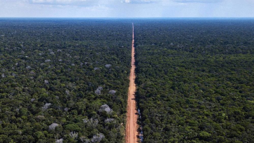 Em resposta à crise climática no Amazonas, Governo Federal anuncia retomada de obras na BR-319/AM/RO