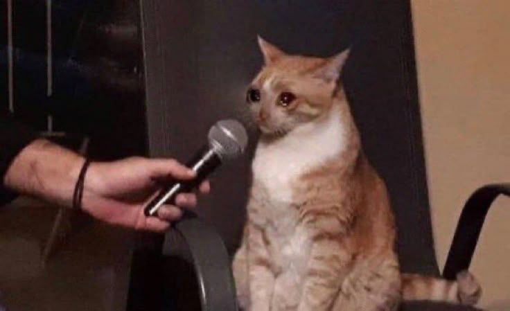 A picture of a an orange tabby cat photoshopped to look as though it has tearful wide eyes with someone offscreen holding a microphone in front of them