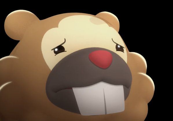 Concerned Bidoof