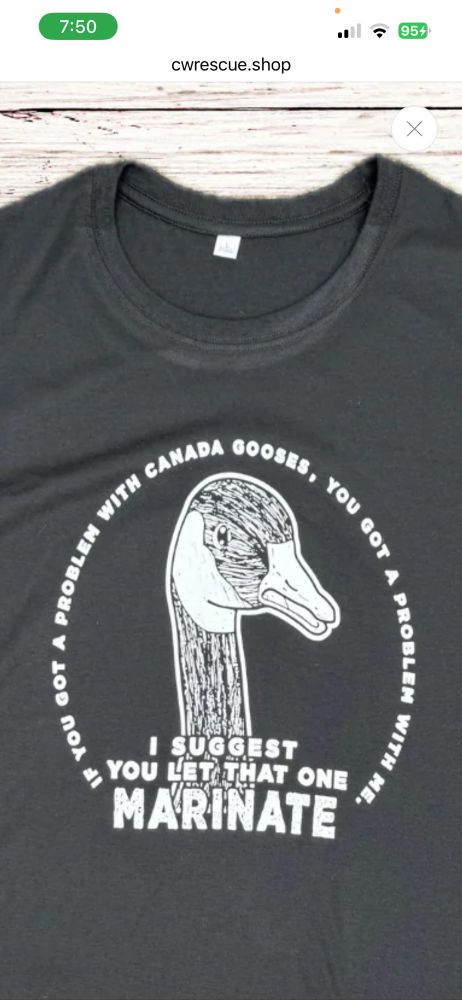 A shirt with a goose head that says “if you got a problem with gooses you got a problem with me”