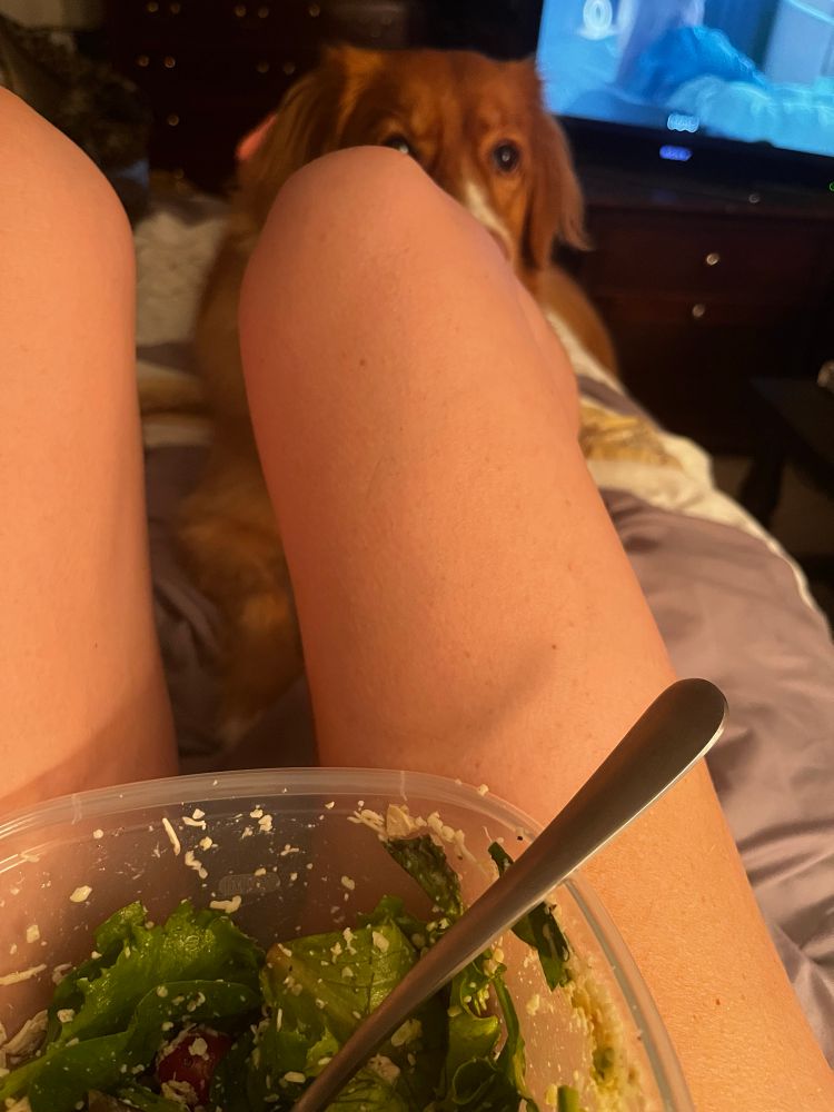 A salad bowl is in my lap while dolly looks on from behind my legs 
