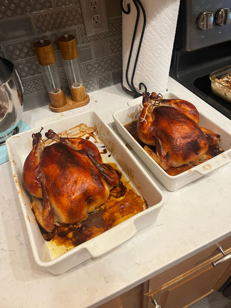 Two perfectly browned roast chickens 
