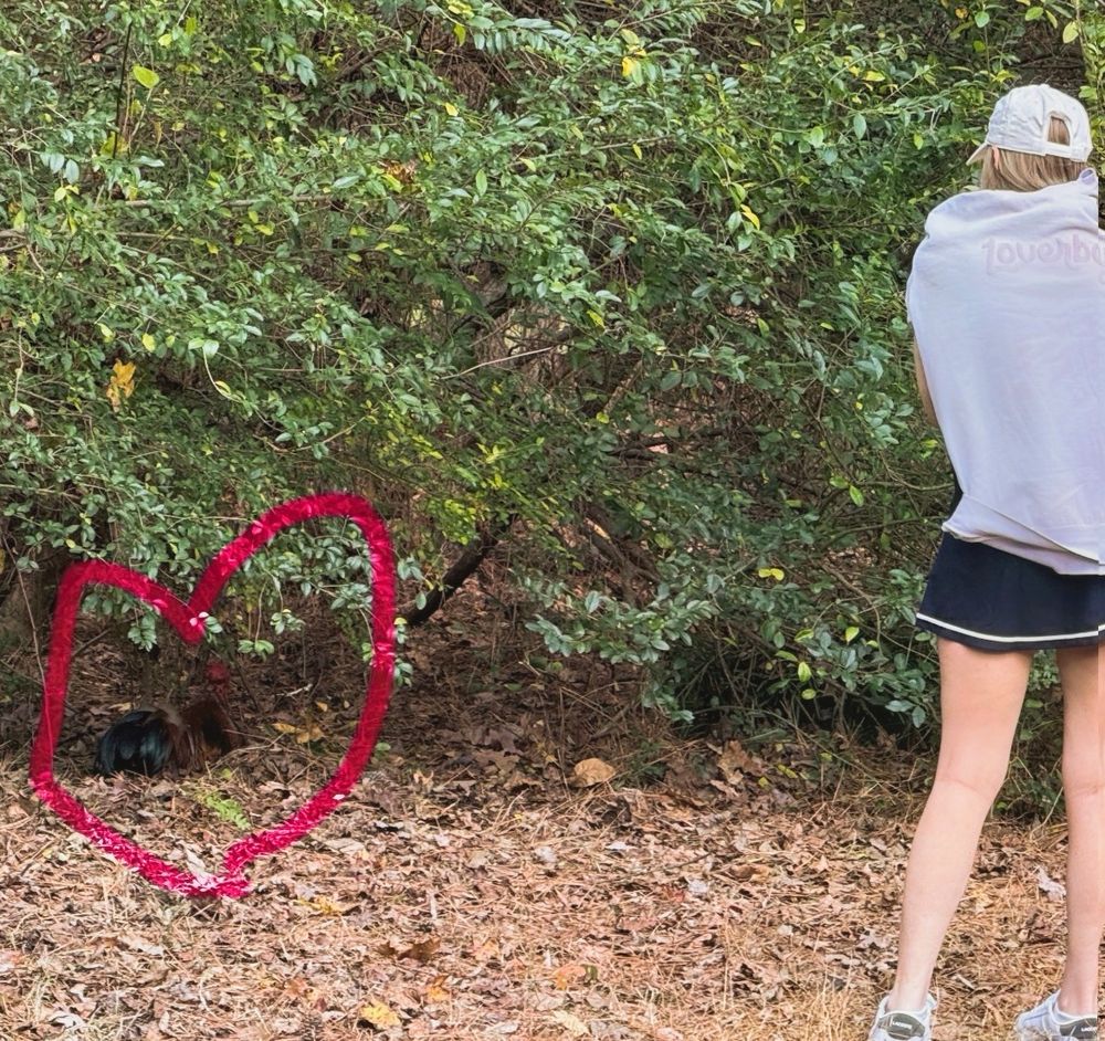 A rooster is hiding under a bush and I am facing him asking about his day 