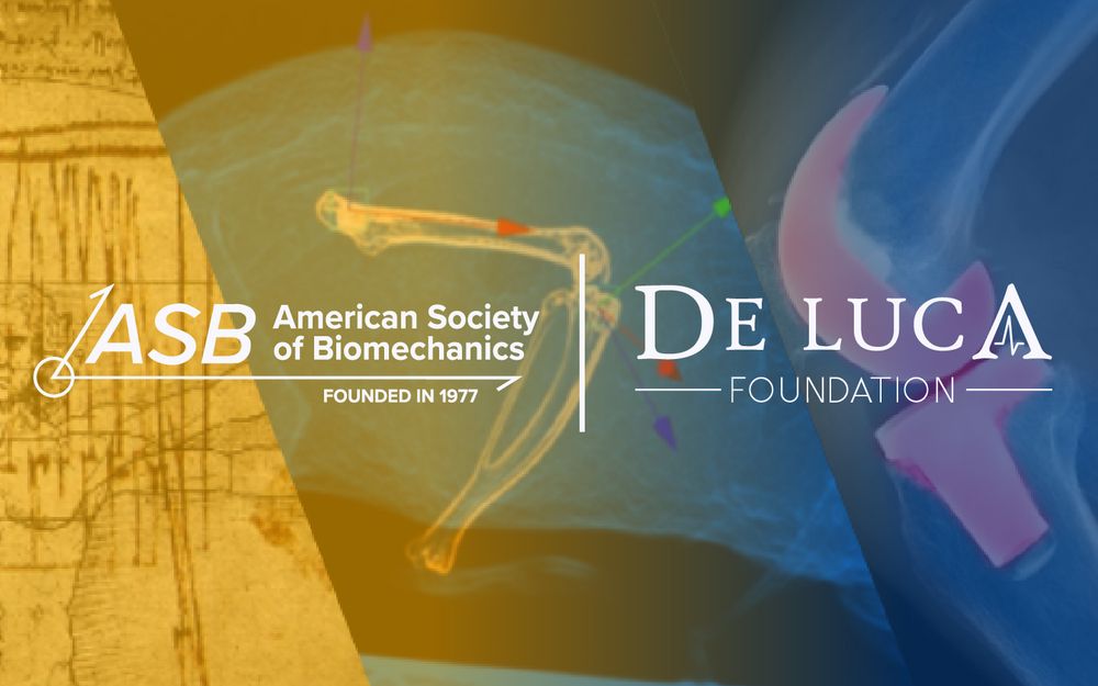 ASB long form logo on left of vertical bar with De Luca Foundation logo on right. Logos overlaid on yellowed graphic of davinci's biomechanics drawings, knee reaction force diagram, and knee replacement xray