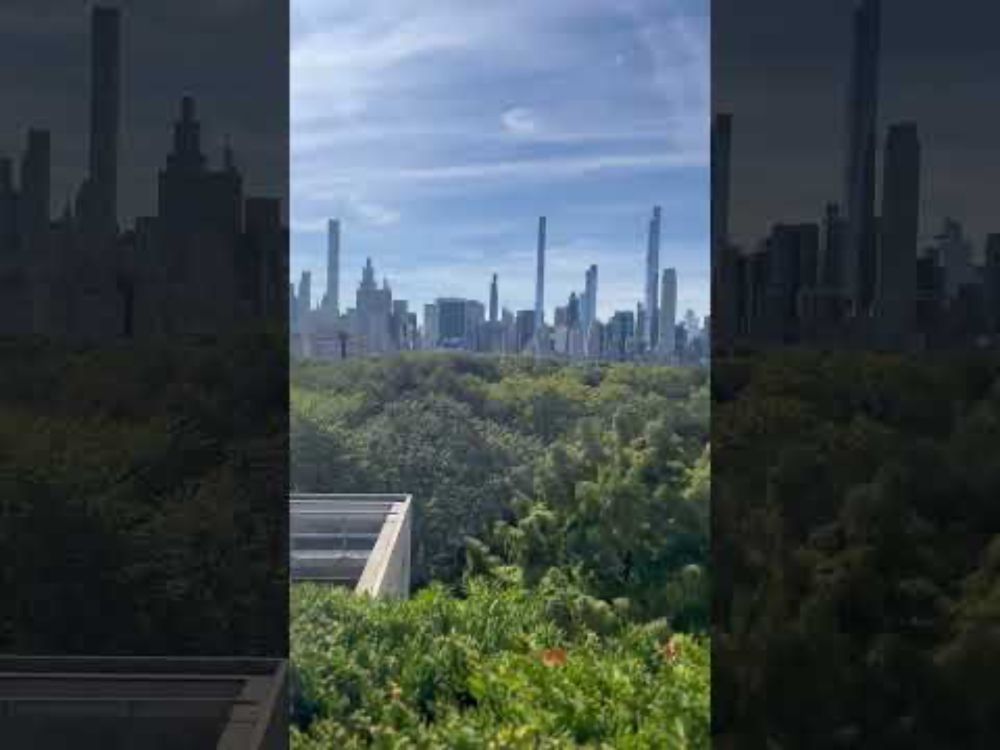 180 view of the Manhattan skyline over the trees of Central Park from the roof of the Met