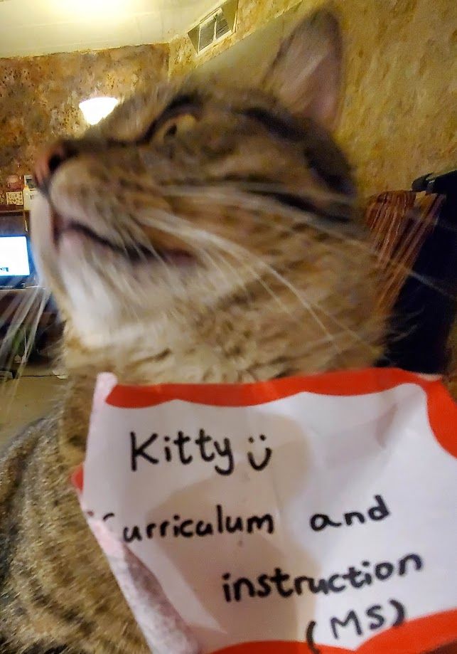 Brown tabby cat wearing nametag reading "Kitty (smiley face) Curriculum and instruction (MS)"