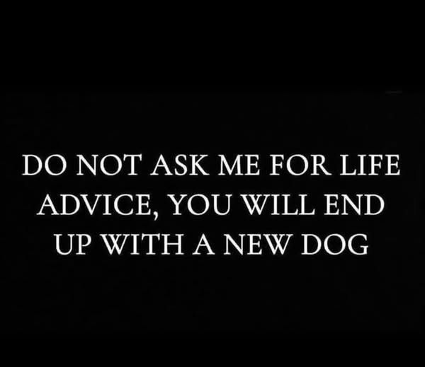Meme that says:  "Do not ask me for life advice, you will end up with a new dog