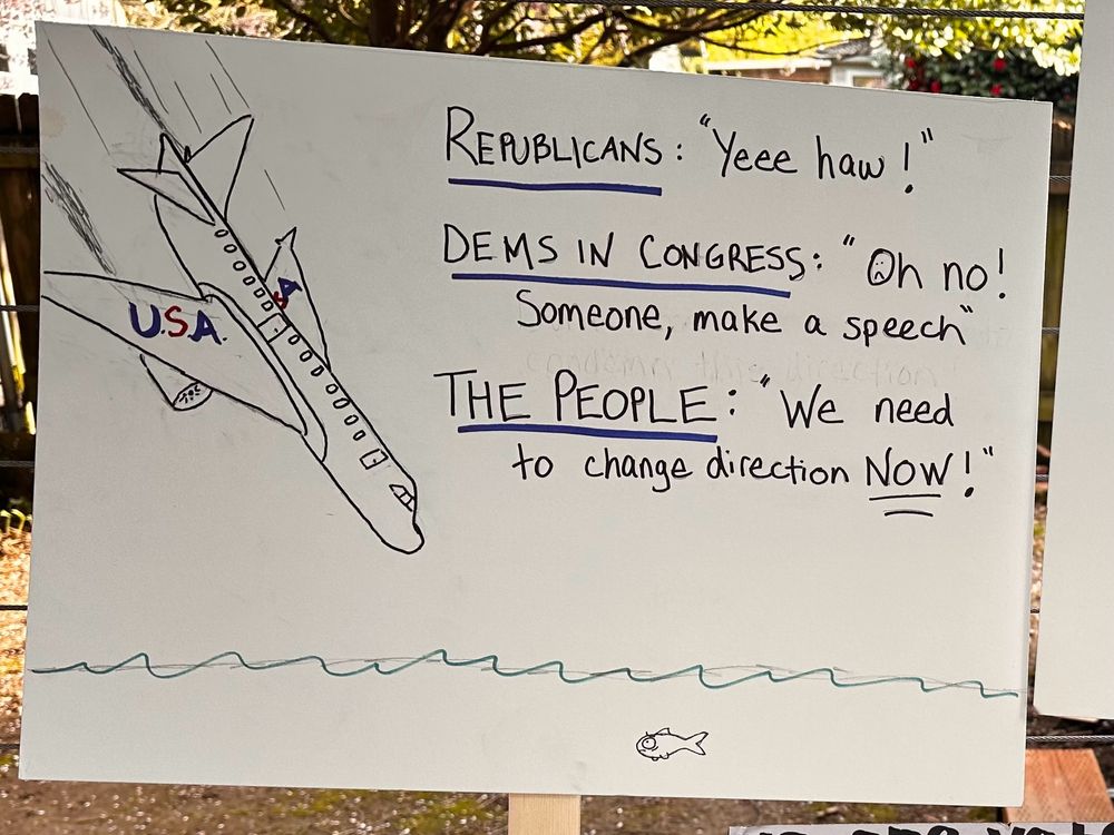 Protest sign shows an airplane labeled USA in a nose dive accompanied by words: 

Republicans: “yeee haw!” 
Dems in Congress: “Oh no! Someone make a speech!” 
The People: “We need to change direction NOW!” 
