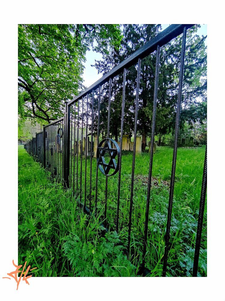 Foto von einem Zaunfeld auf einem alten Friedhof. Zu sehen sind runde, dünne schwarze Streben die von eckigen Streben umrandet sind. In der Mitte des Stahlzauns ist der Davidstern eingefasst. Im Hintergrund sind alte Grabsteine und Bäume zu sehen. Gras bedeckt den ganzen Boden und dominiert mit seiner grünen Farbe das Bild.
