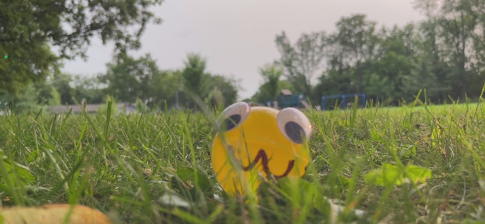 little spoogly in grass on birthday