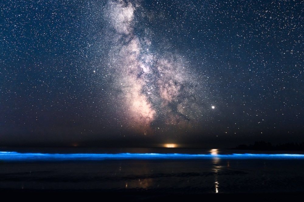 'Tons of tiny little lights' give waters off Vancouver Island a bioluminescent glow