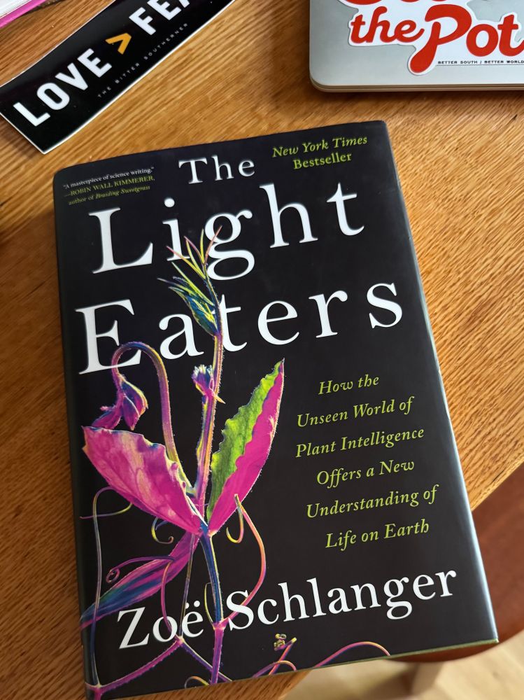 This is Zoe Schlanger's book 