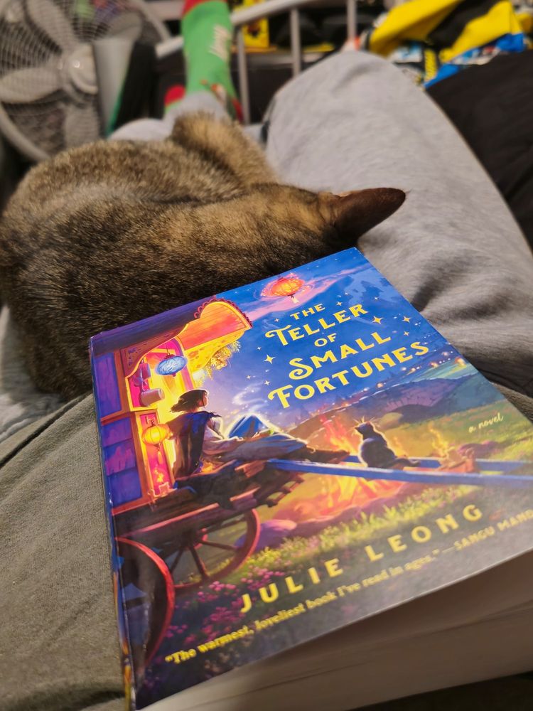 A sleeping tabby cat "Poe" asleep across my legs with a paperback copy of the book The Teller of Small Fortunes beside her.