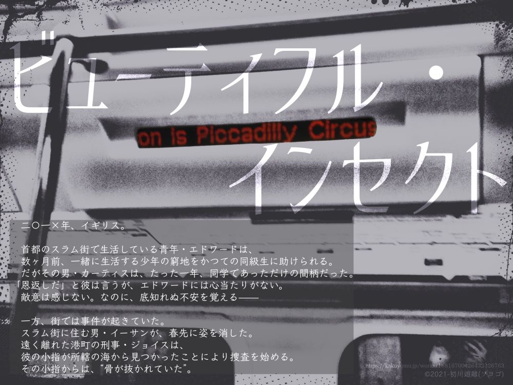 長編小説『ビューティフル・インセクト』の宣伝画像。
ロンドンの地下鉄車内を背景に、小説のあらすじが載せられている。