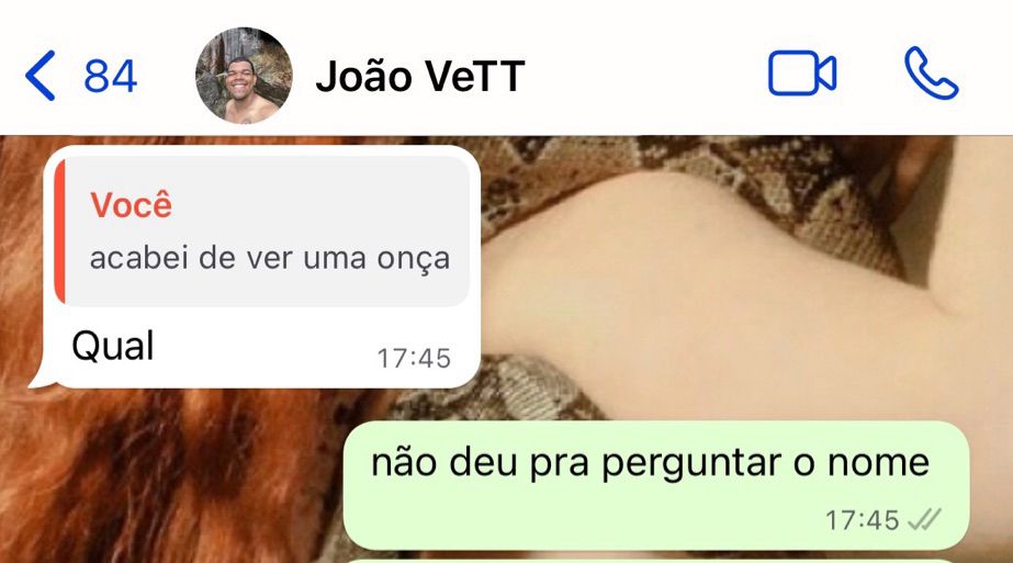  -acabei de ver uma onça
-Qual
-não deu pra perguntar o nome
