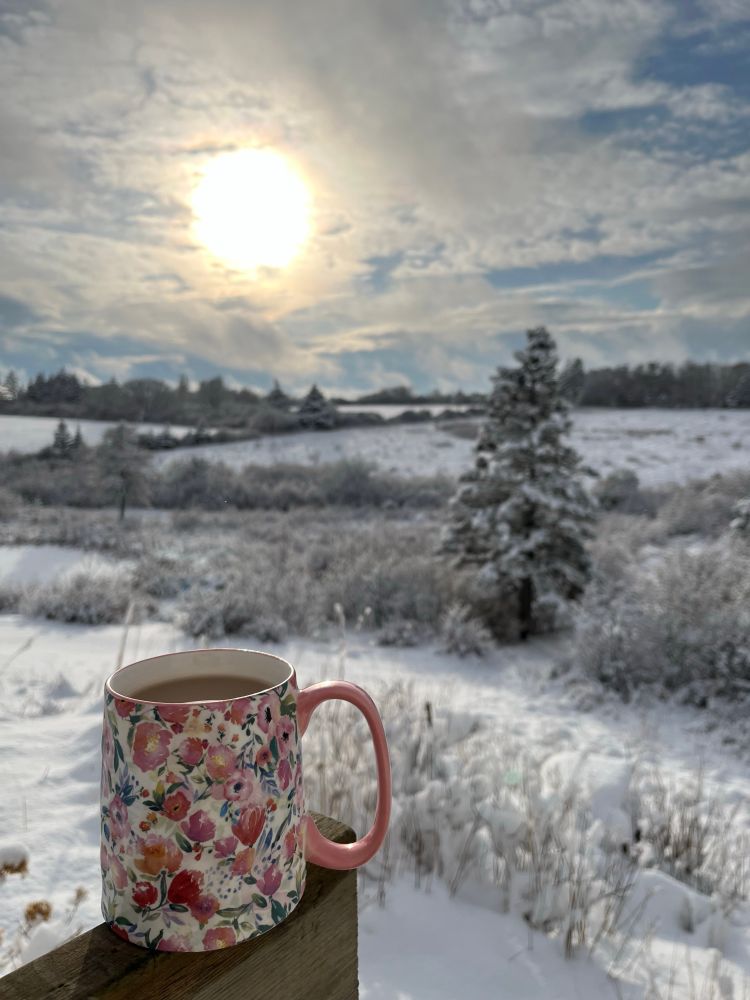 Snow covered fields and a blurred sun in a cloudy sky in the background, with one large snowy evergreen. In the foreground, a pink floral mug of tea.