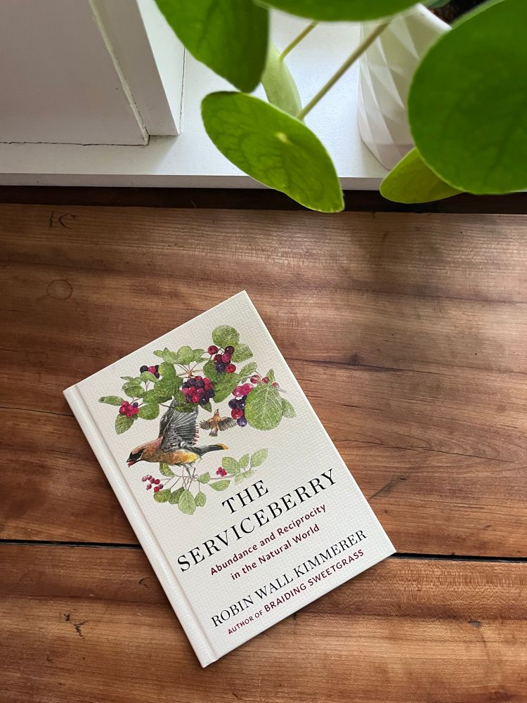 A photo of Robin Wall Kimmerer’s book “The Serviceberry” subtitled “Abundance and Reciprocity in the Natural World” on a wooden table with a few green pilea leaves peeking in.