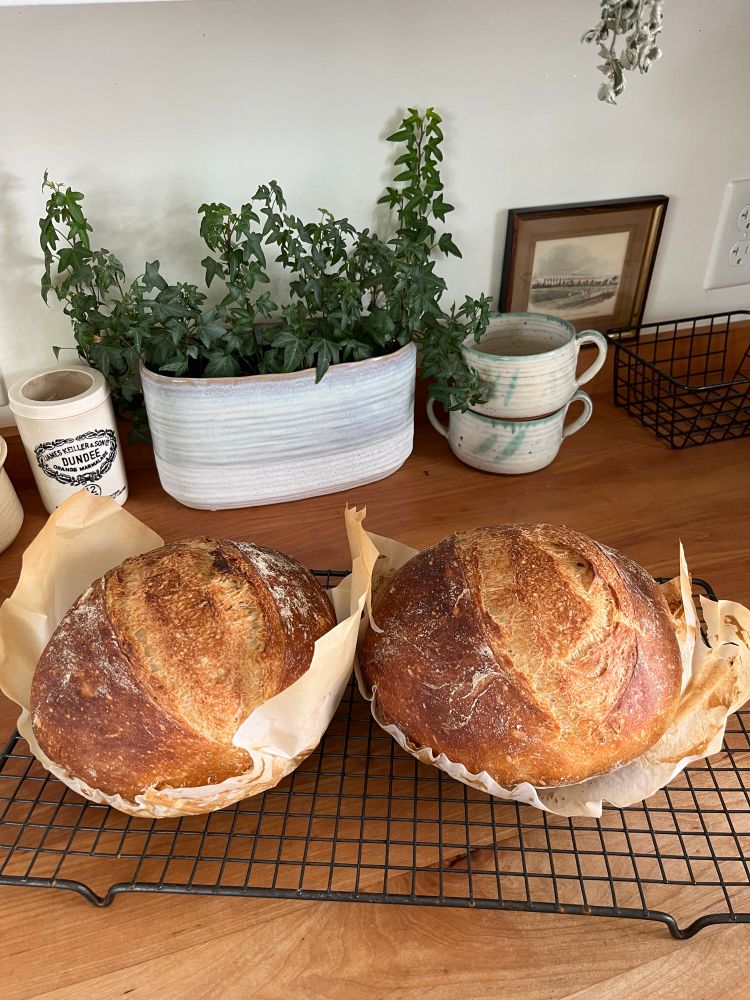 Two round loaves of bread sit on a cooling rack on a wooden counter, with ivy and pottery dishes in the background.