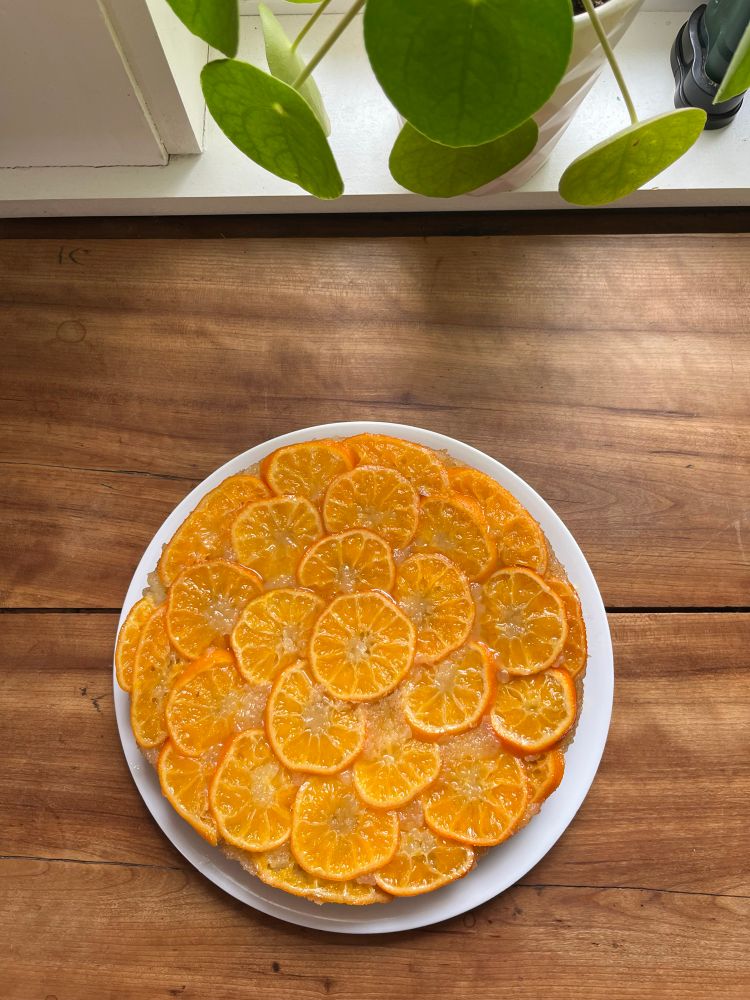 Sliced clementines decorate the top of a cake on a wooden table.