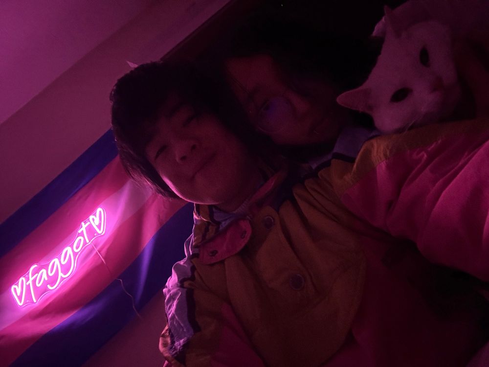 2 faggots and a cat in front of a trans flag