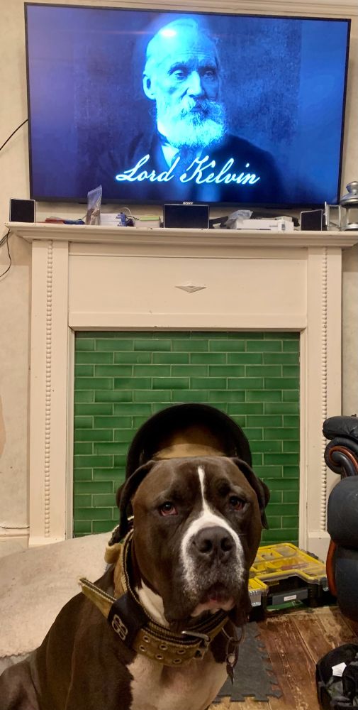 A large brown and white American Staffy cross breed dog, sat in front of a TV showing a picture of his namesake, Lord Kelvin.