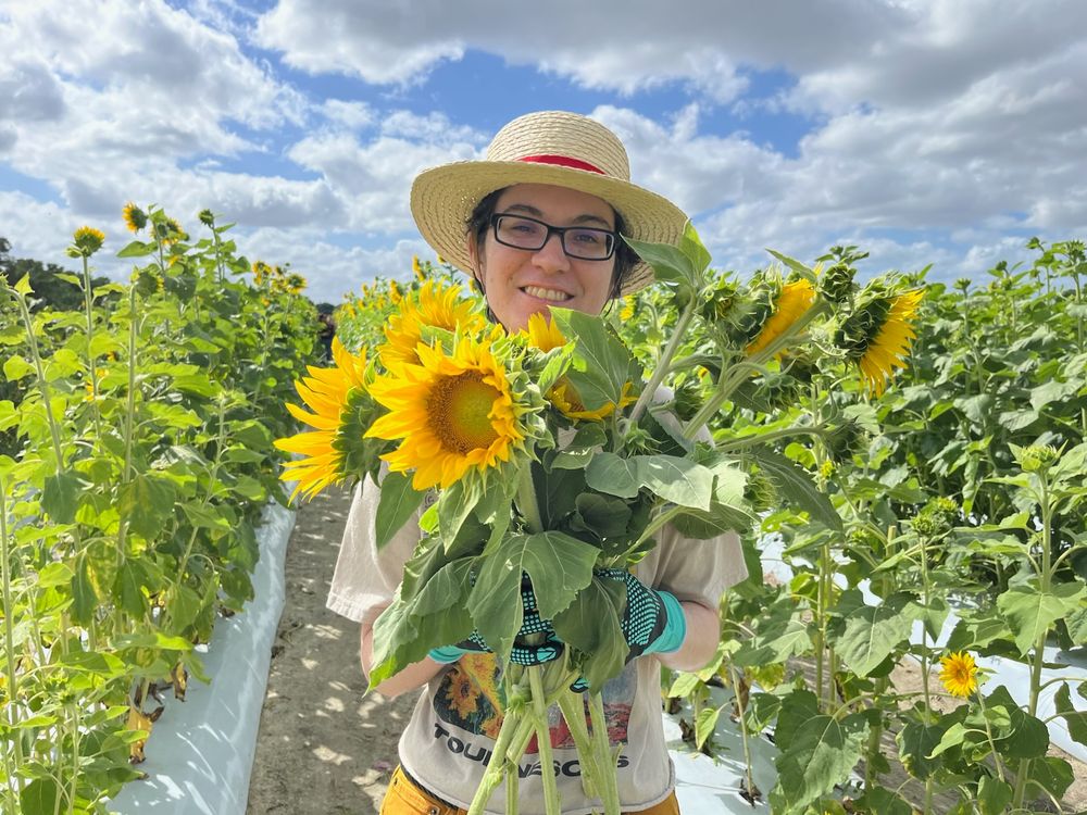 Me standing with a bundle of sunflowers held beneath my chin