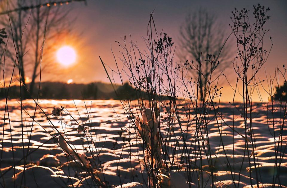 Schneebedecktes Feld bei Sonnenschein 