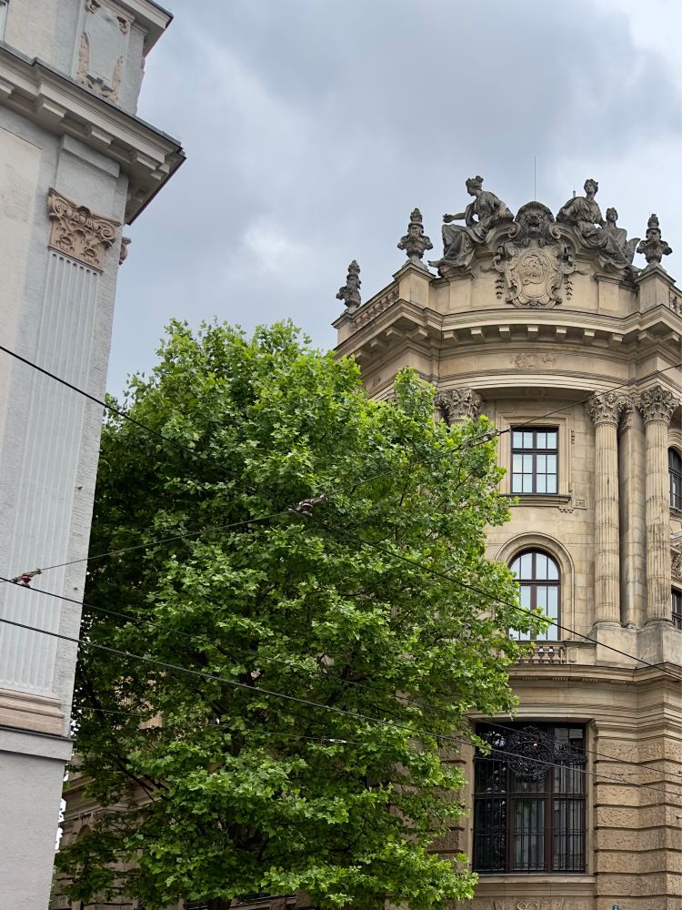 A building behind a tree with older looking architecture