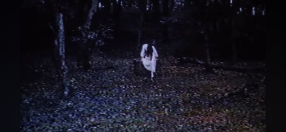 Sadako climbs out of the well