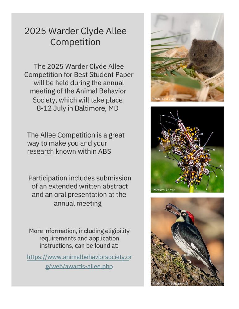 A flyer advertising the competition. The left half is a medium gray block with black text. On the right are photos of a vole, insects, and a bird.