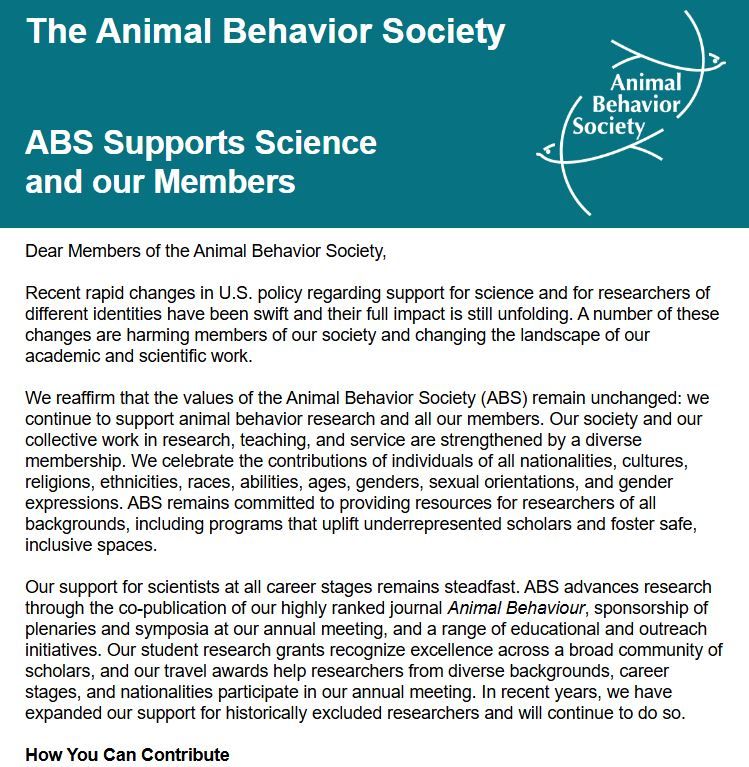 Screenshot of the ABS letter of support (top half). A turquoise header with white text over a white background with the black main text of the letter.