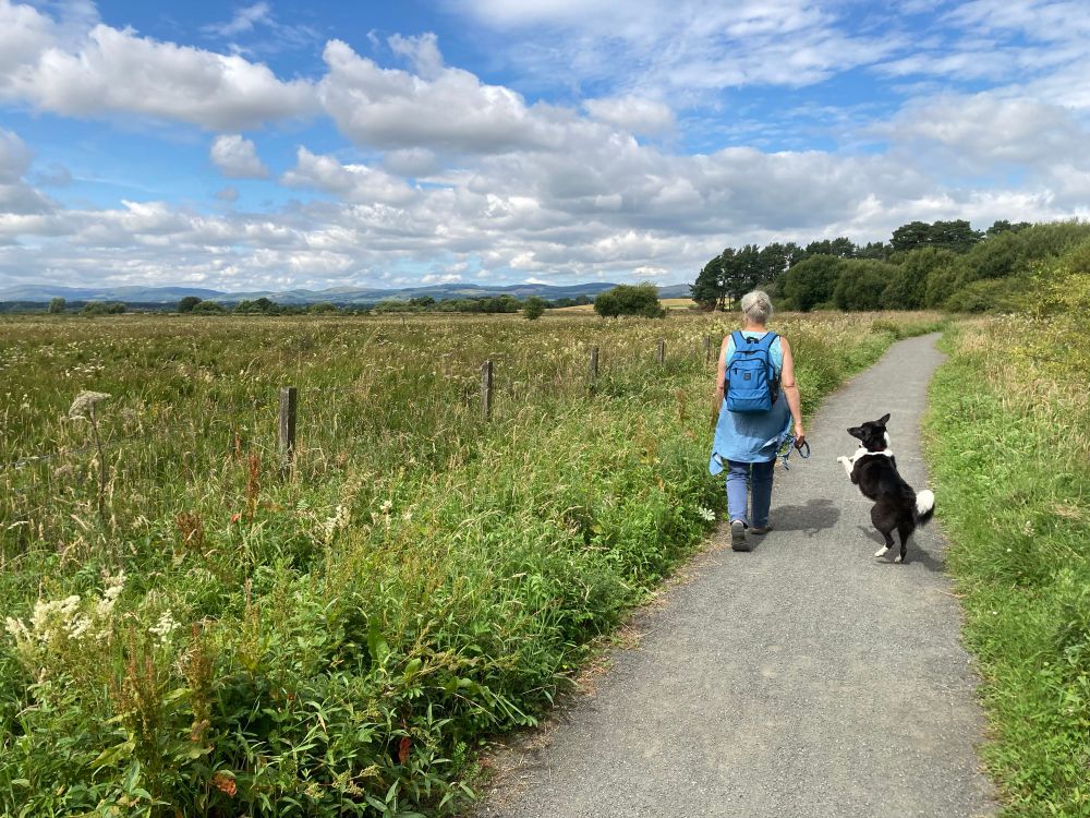 A woman and a dog walking on a path lined with wildflowers