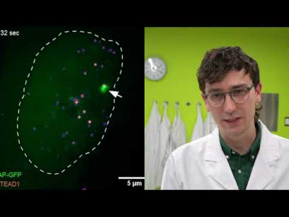 Peter Mac researchers capture DNA-binding proteins on film for the first time