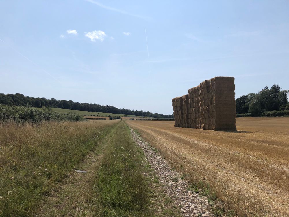 Nr Finchdean