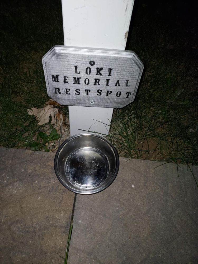 The Memorial Plaque mounted on the library's white post, a dog's water bowl below it.